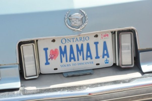 Un Cadillac iubeşte Mamaia